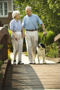 retired senior man and woman walking dog on bridge in spring